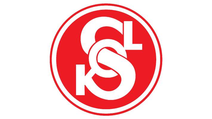 Česká obec sokolská